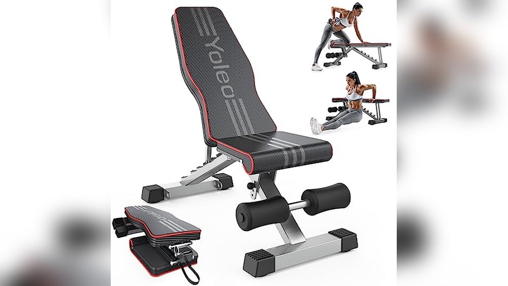 Best Workout Bench for Home